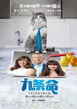 99久久精品费精品国产一区二
