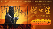 吊网