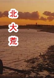 性娱乐节目