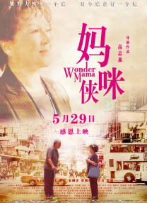 精品国产高清久久久久久小说