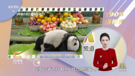 久久电影国产免费久久电影